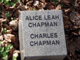 image of grave number 945876